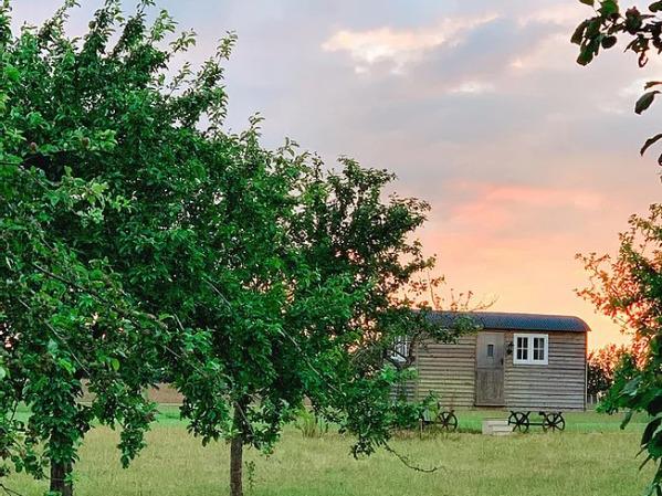 Romantic shepherd's hut with orchard setting