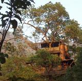 tree house in kerala