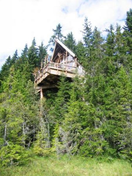 tree house 8 metres above ground