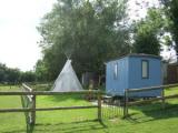 Millstream Camp Shepherds Hut