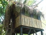 treehouse at Parrot Nest Lodge