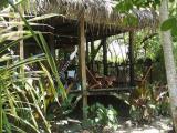 cabin accommodation in tropical gardens