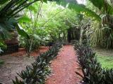 tropical gardens at lodge