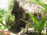 cabin at Parrot Nest Lodge