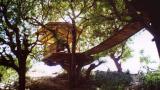 Beach Club treehouse