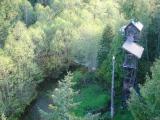 Birds eye view of treehouse